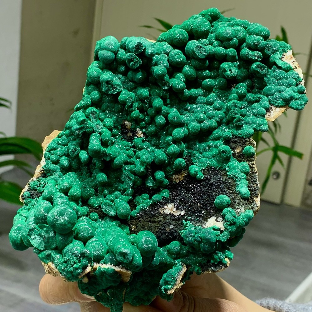 2.34LB Natural Malachite rysocolla transparent cluster rough mineral Sample