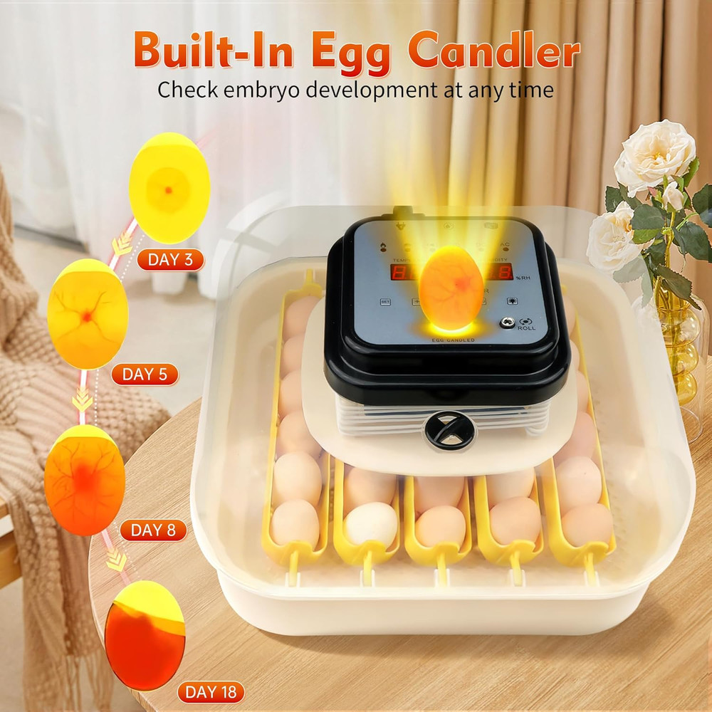 Incubators for Hatching Egg 30 Eggs Automatic Egg Turning & Humidity Control, Di