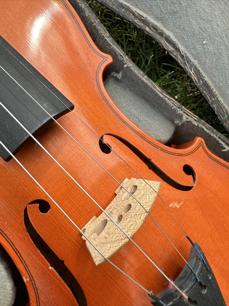Violin Reghin Romania