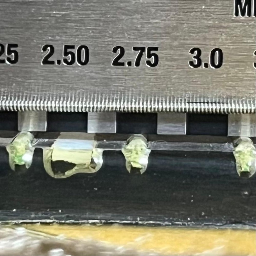 Mandolin Raffaele Calace Type15 raffaele calace