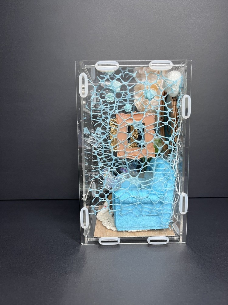 Front opening blue room Jumping Spider Enclosure