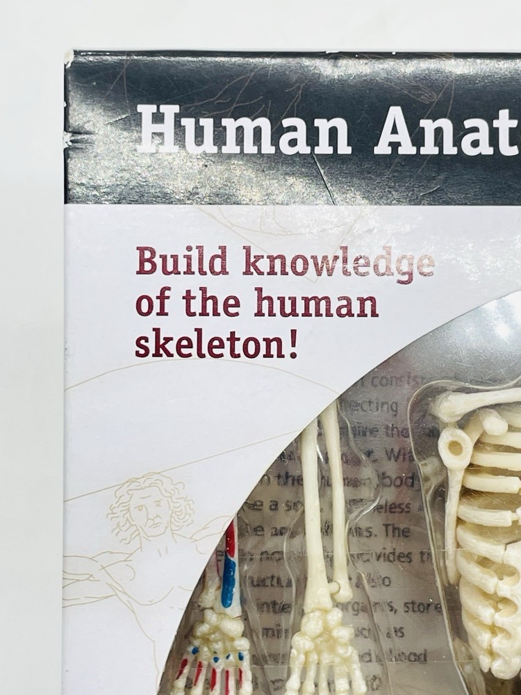 Learning Resources STEM Human Anatomy Skeleton 9.2" Tall Realistic Model ~ 41 Pc