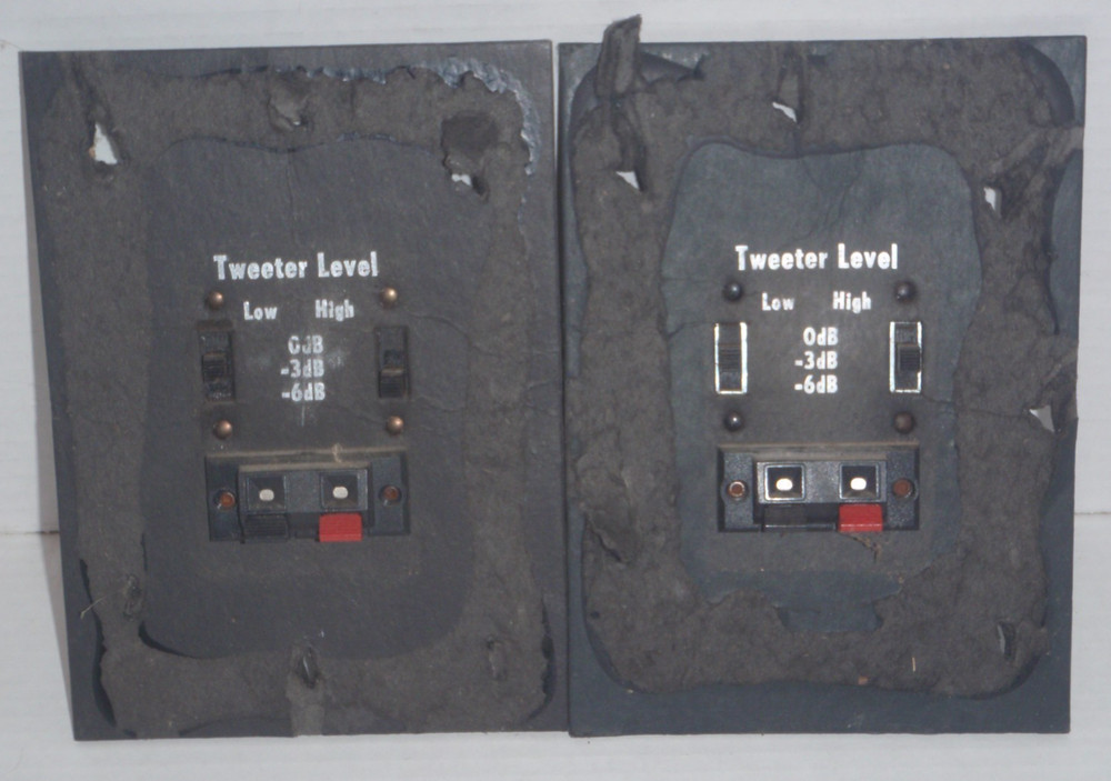 Ohm Acoustics Crossover Pair from C2