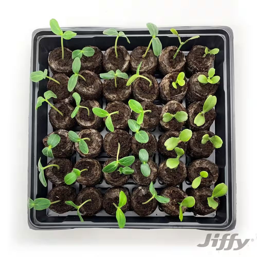 36 Peat Pelletseed Starter Kit with Superthrive