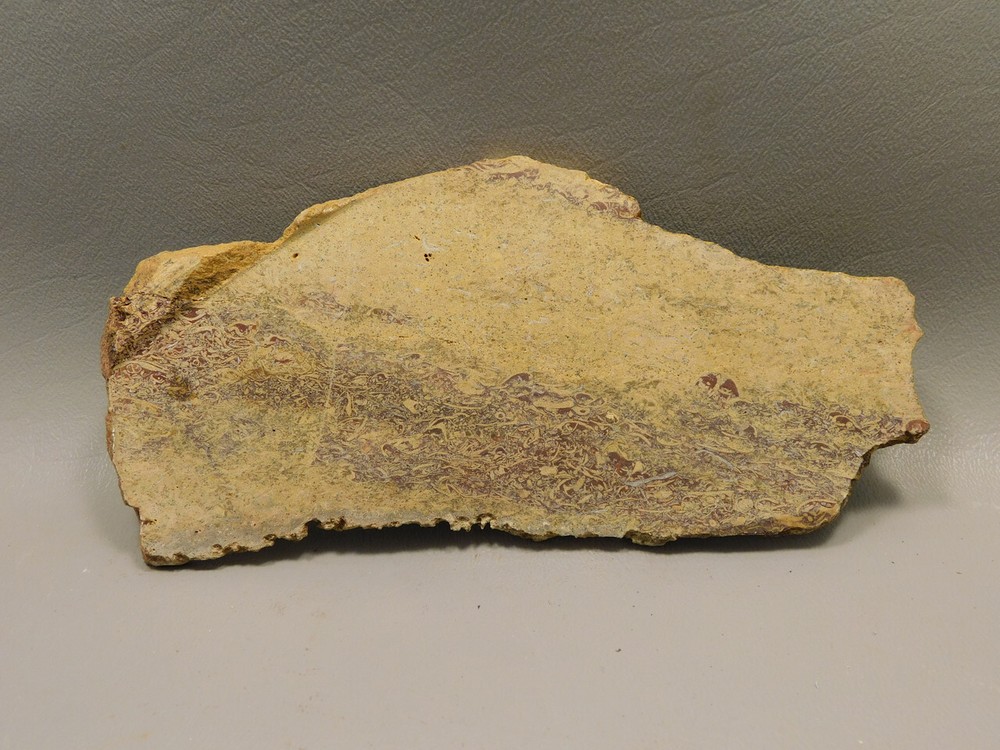 Coquina Jasper Lapidary Rough Rock Script Stone Slab Cabbing #O1