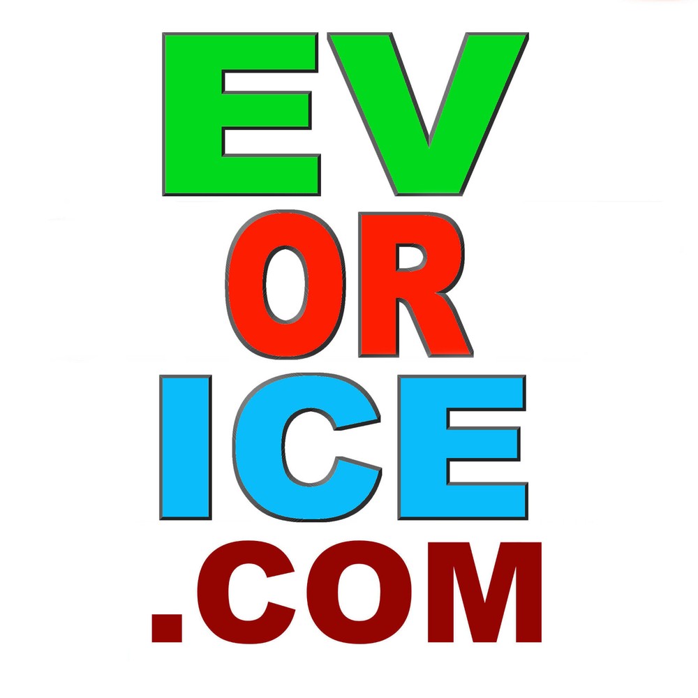EVorICE.com -Premium  Electric Vehicle or Internal Combustion Engine Domain Name