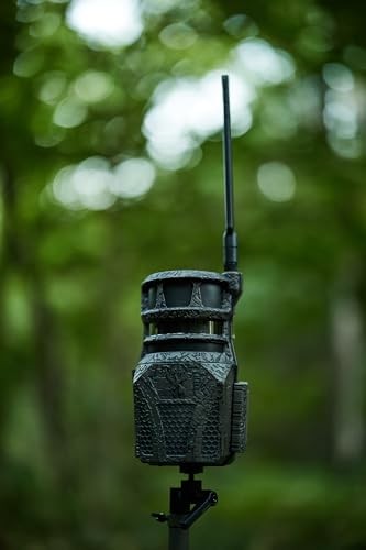 Wildgame Innovations Orbit 360 Degree Cellular Trail Camera