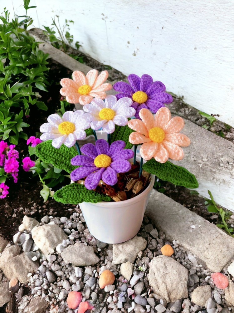 Crochet Colorful Daisies »