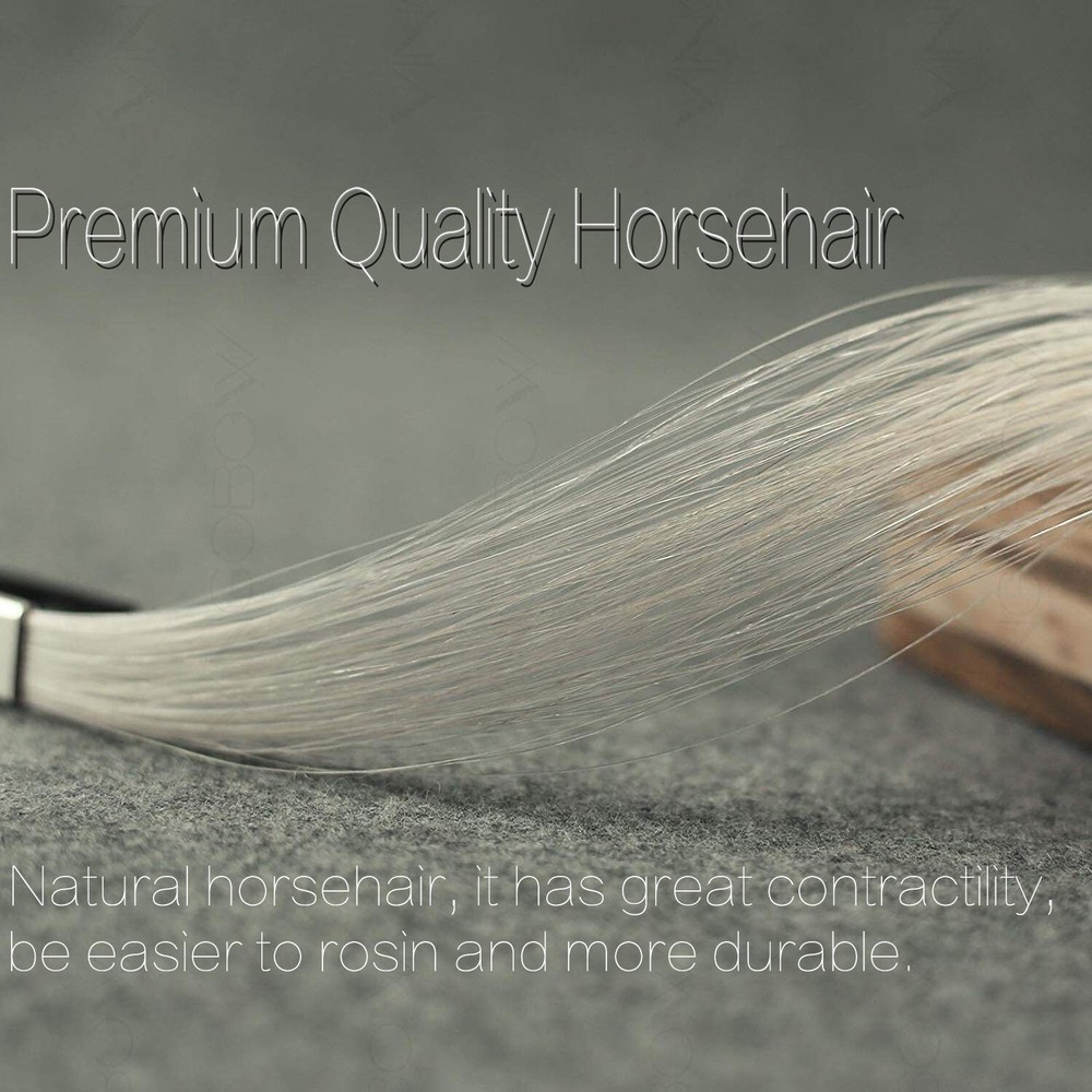 NEW Master Pernambuco Violin Bow TOP Craftsmanship 4/4 size Silver Tips