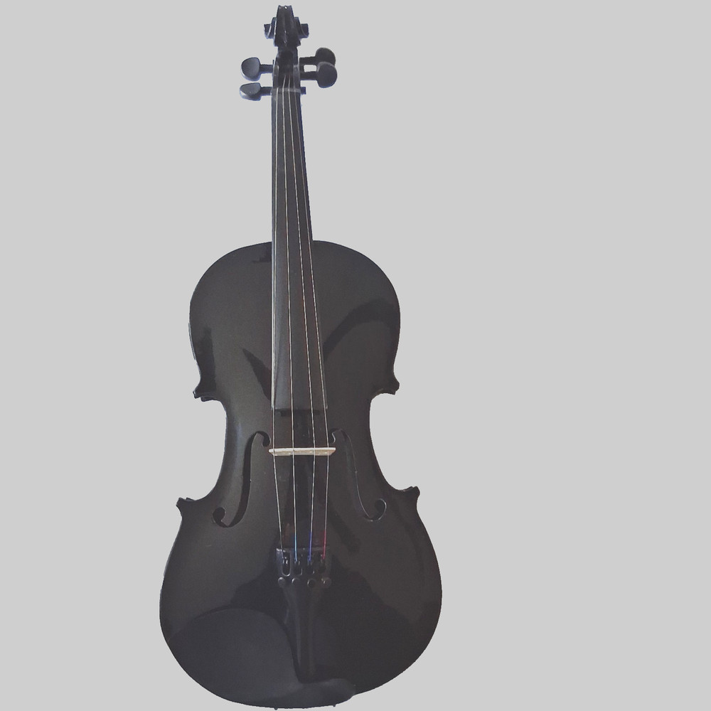 Unbranded 4/4 Size Black Vio;in With Nice Case