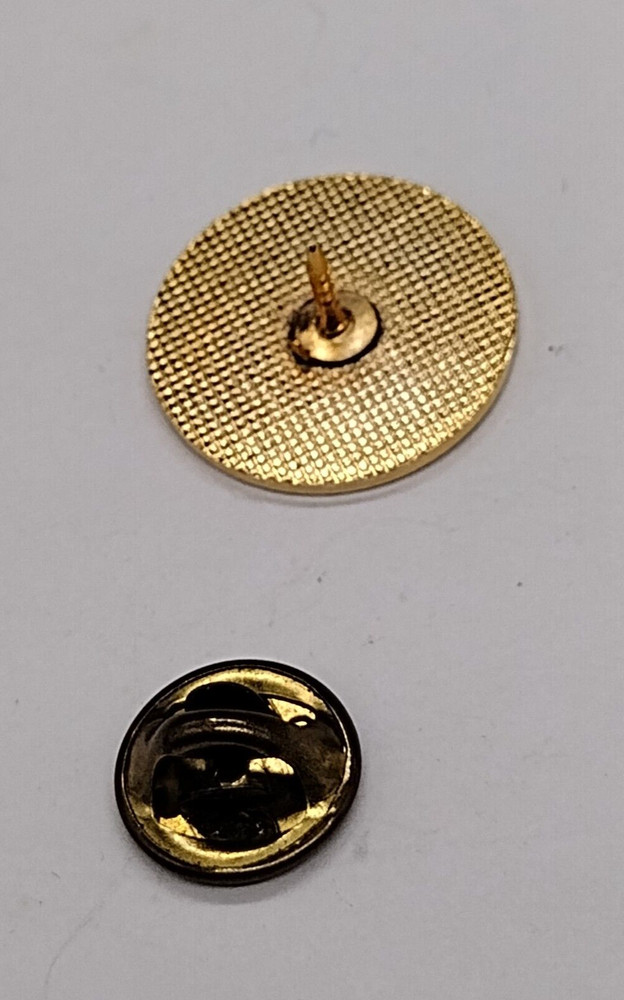 West Virginia Make It Shine Lapel Pin