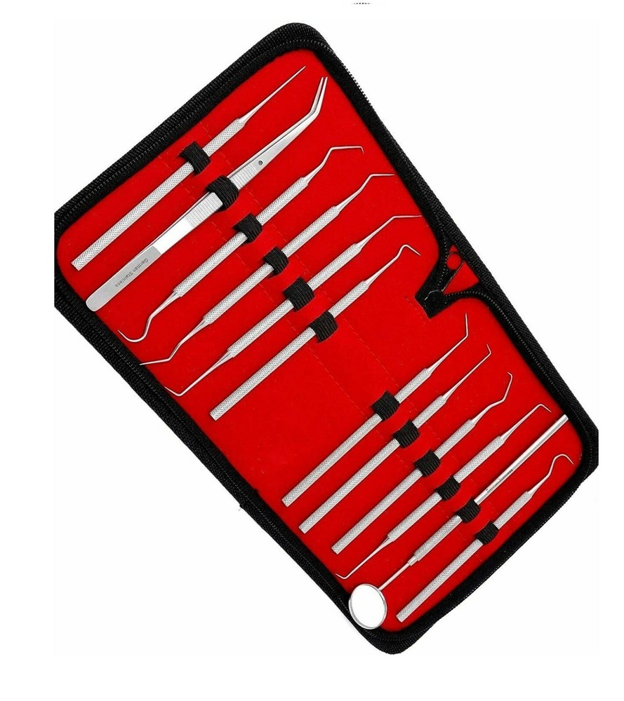 12 Pcs Straight, Single, Short Double, Long Double, Triple and Hook Tips 5.5"-6"
