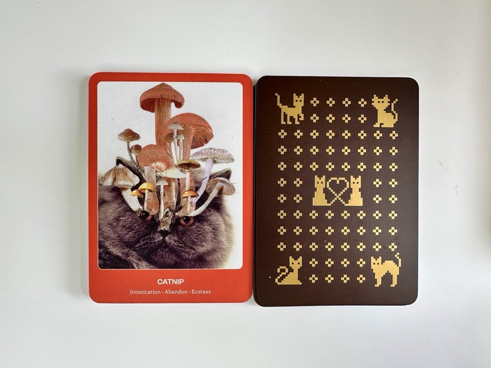 The Cat Oracle 33 Card Deck and Guidebook for Divination