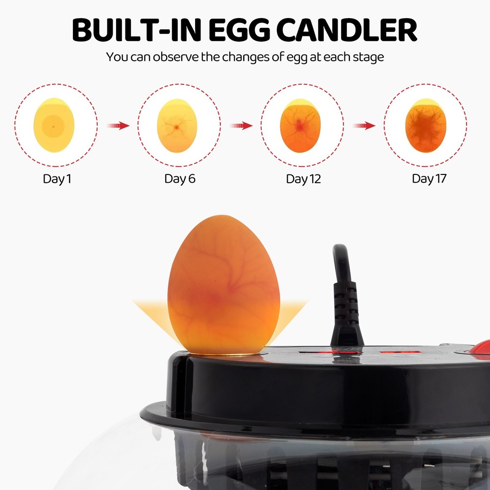 12 Eggs Incubator Automatic Digital Chicken Egg Hatcher Temperature Control