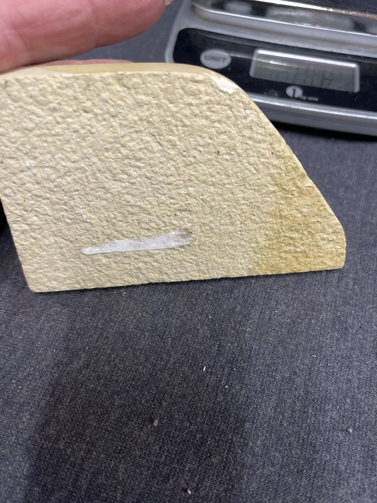 4” Fossil Fish Unknown