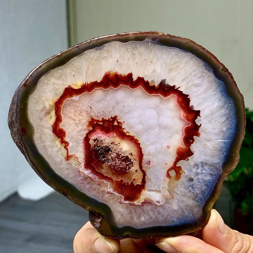 287G Natural Beautiful Agate Geode Druzy Slice Extra Large Gemstone