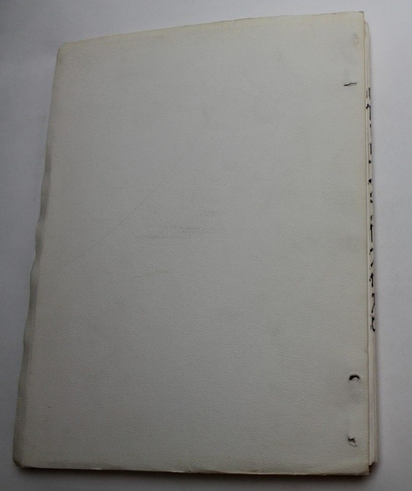 SLEEPWALKERS / Stephen King 1991 Movie Script Screenplay, supernatural creatures