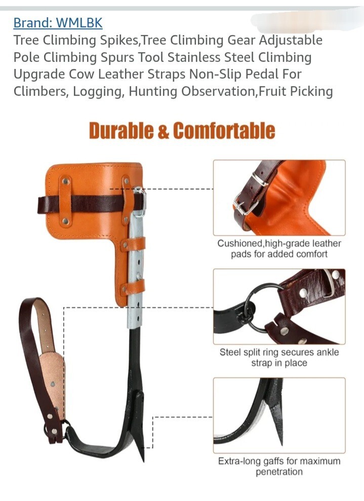 Tree Climbing Spurs Steel