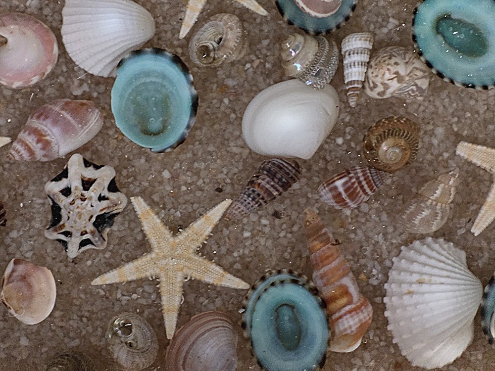 Handmade resin sand and shell trinket dish