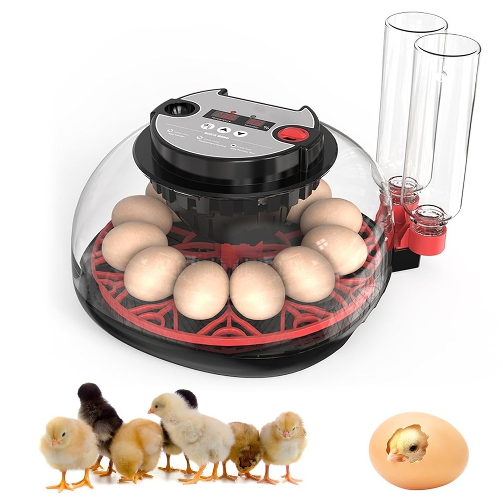 Incubators for Hatching Eggs, 12 Egg Incubator with Automatic Egg Turning and...