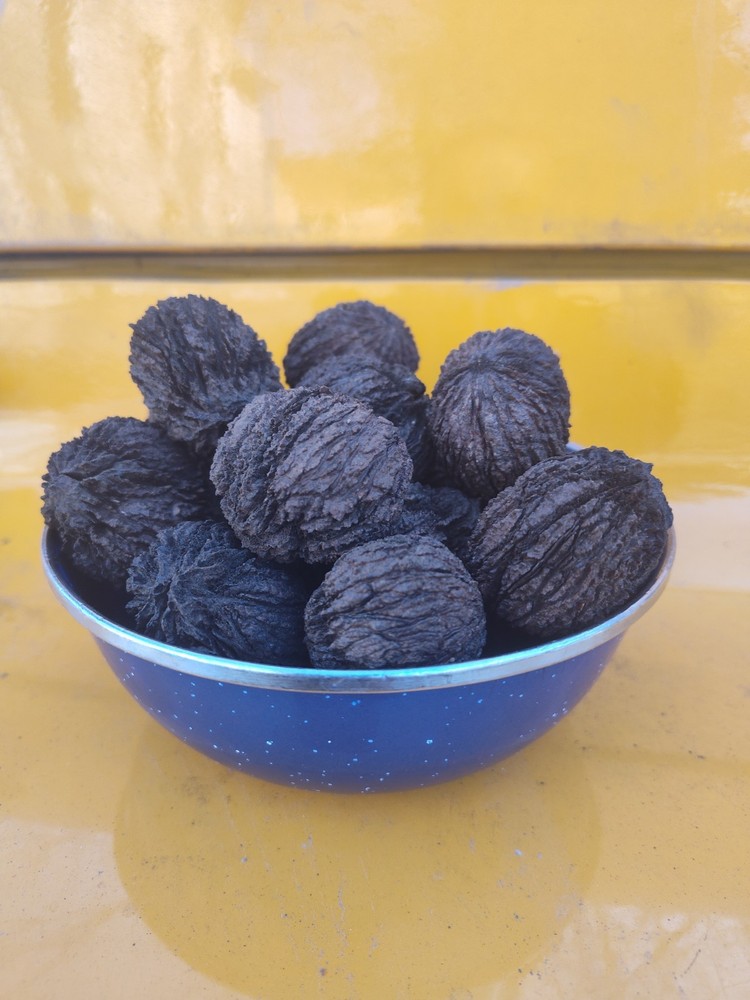 30 Black Walnuts-2025 Harvest