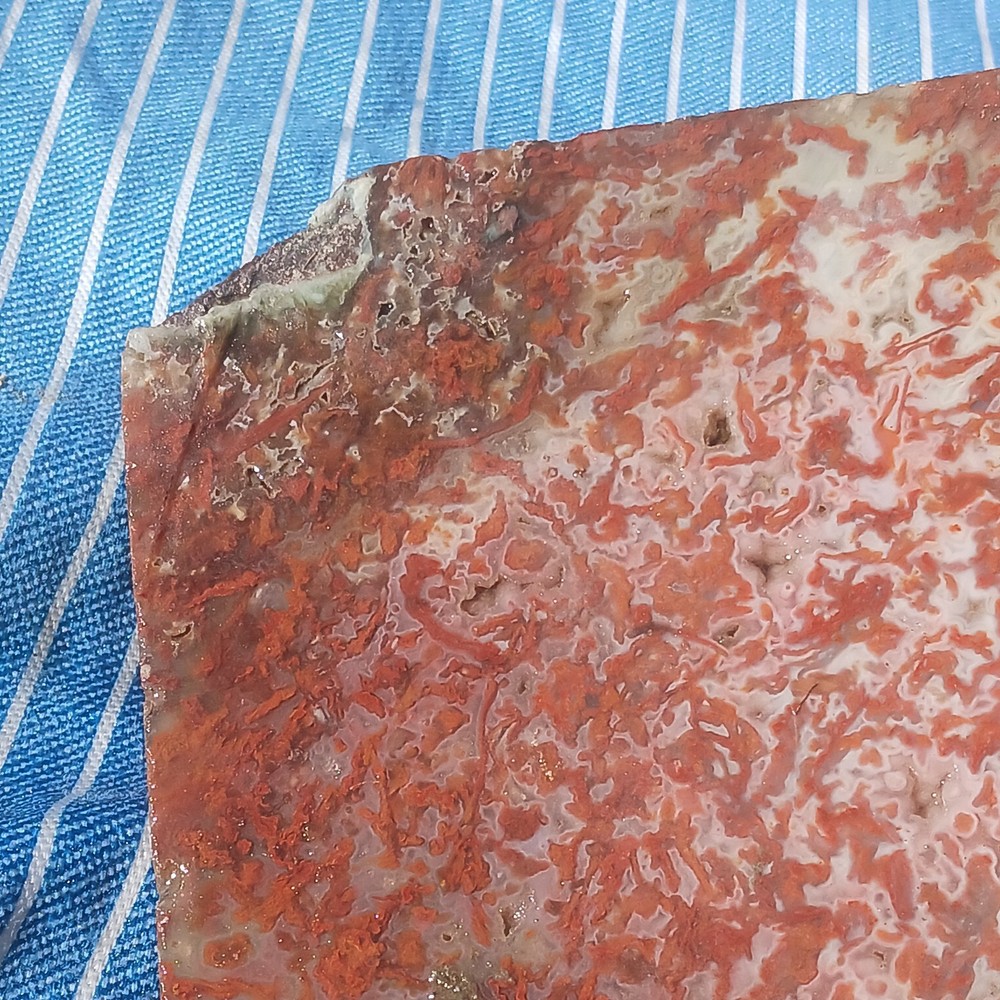 BIG Moss Agate Slab Ready For Lapidary