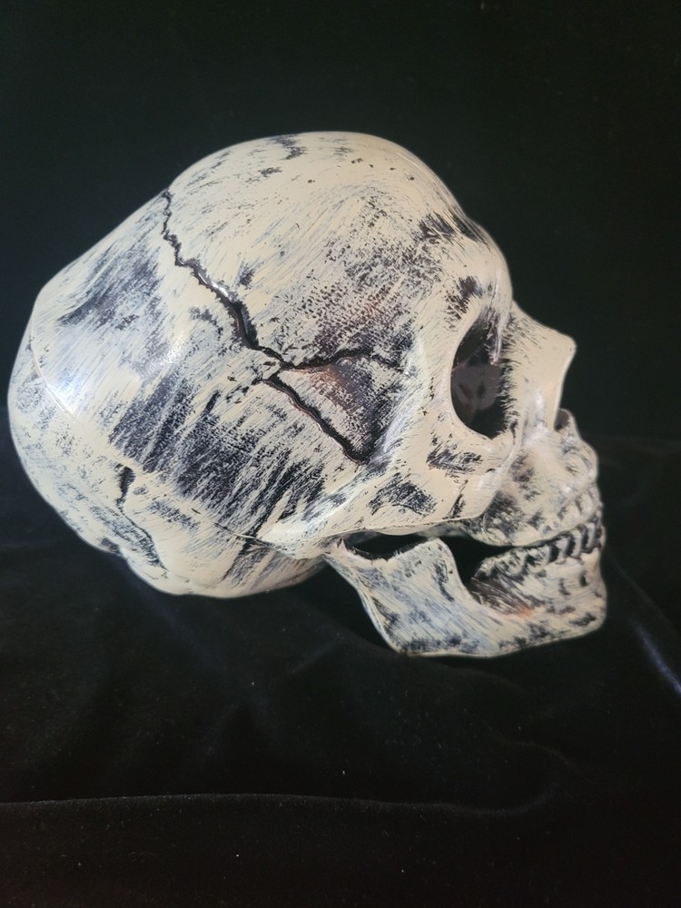 Halloween Skull & Skelton Bones Arms Outdoors Decor