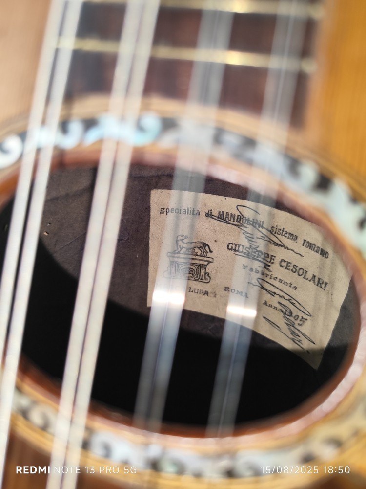 Mandolin 4/4 Giuseppe Cesolari 1905 Rome 曼陀林 만돌린マンドリン