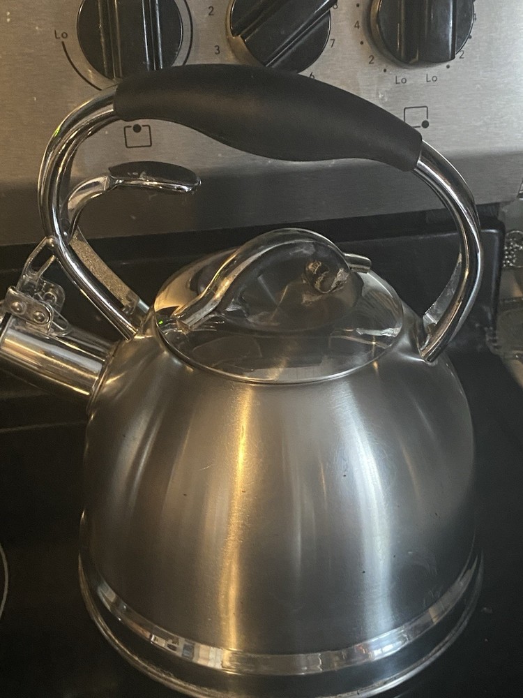 Well Equipped Kitchen Stainless Steel Tea Kettle Black Handle