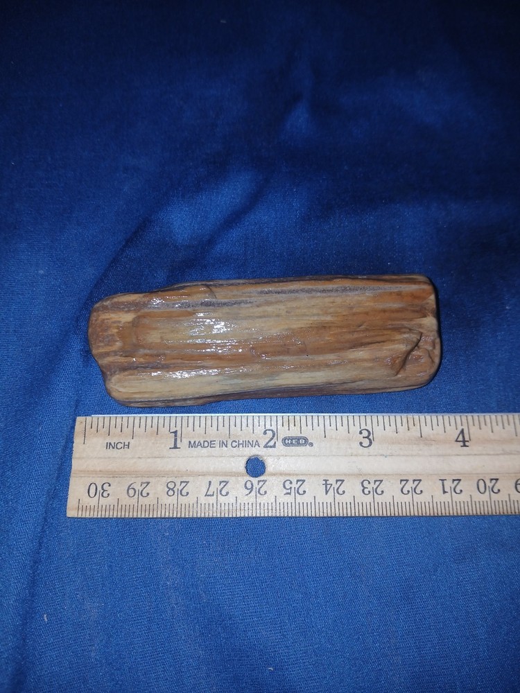 3.3 oz Texas Petrified Wood