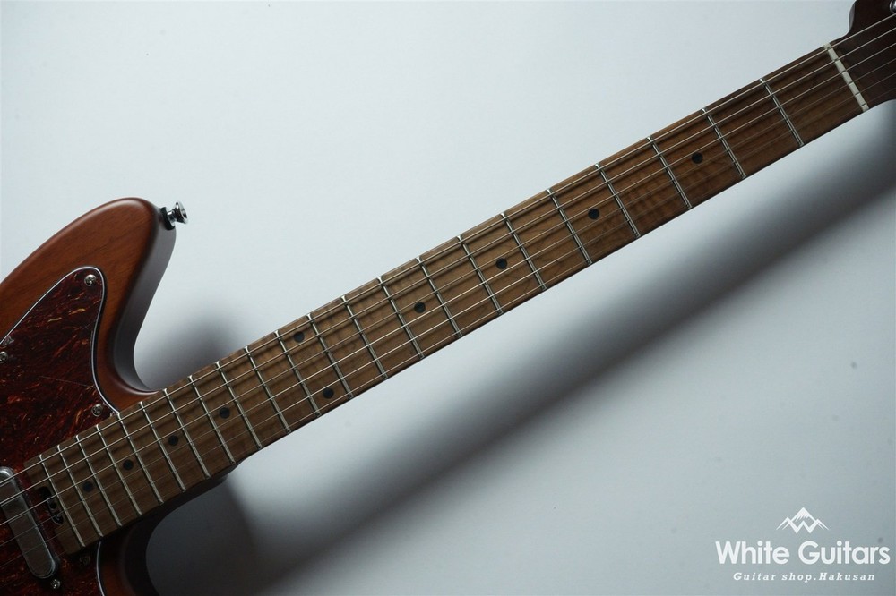 Bacchus Windy-Breaker RSM