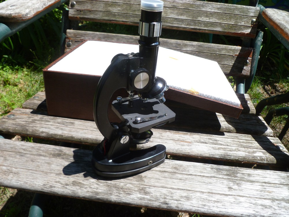 Monolux 50x-900x Microscope