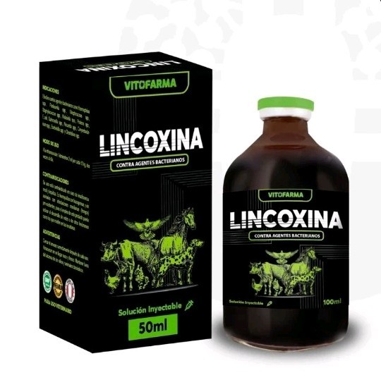 Lincoxina 100 ML Poultry
