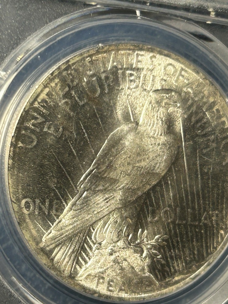 1924 PCGS MS64 PEACE DOLLAR CAC