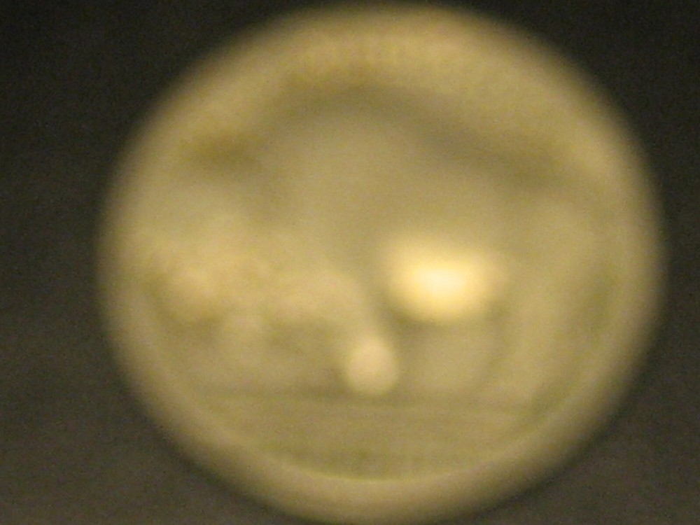 1917-S Buffalo Nickel