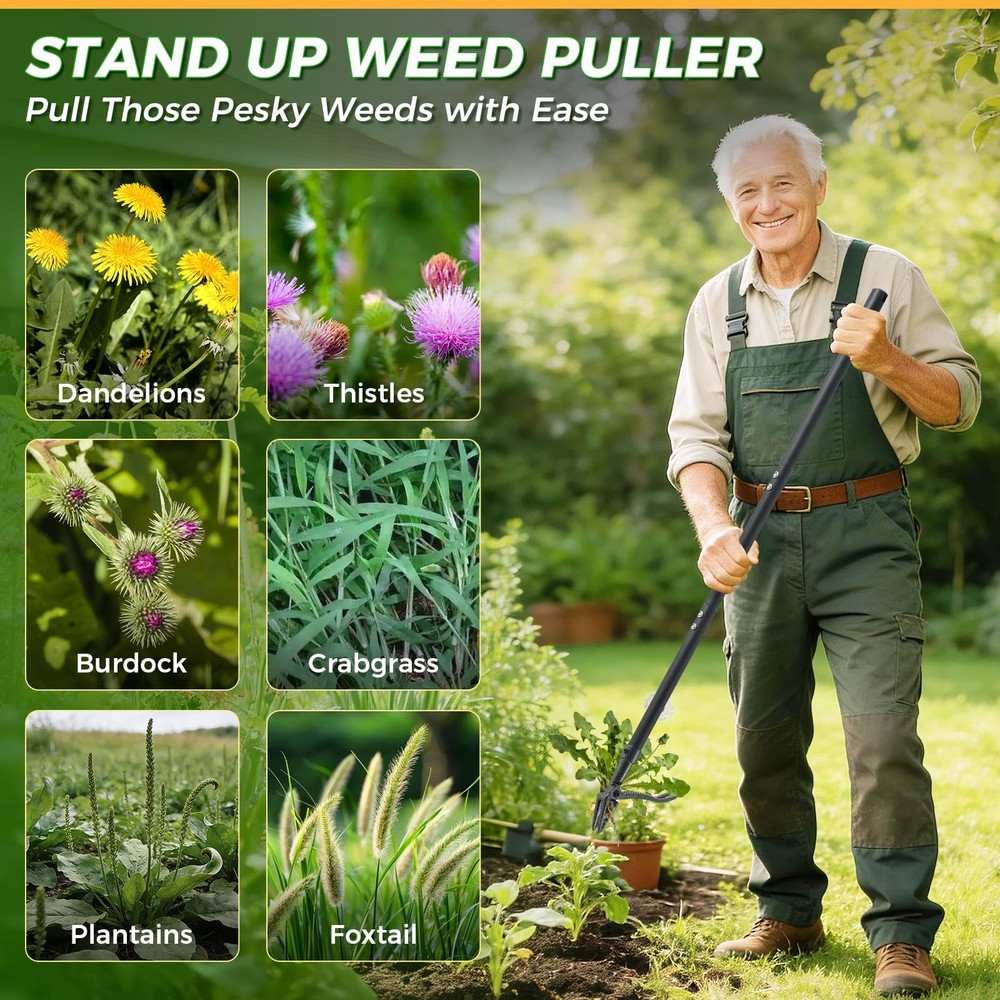 RexWeed Weed Puller, Stand Up Puller Tool with Steel Long Handle & Black