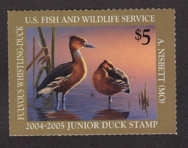 JDS12 Junior Duck Stamp. MNH.    #02 JDS12a