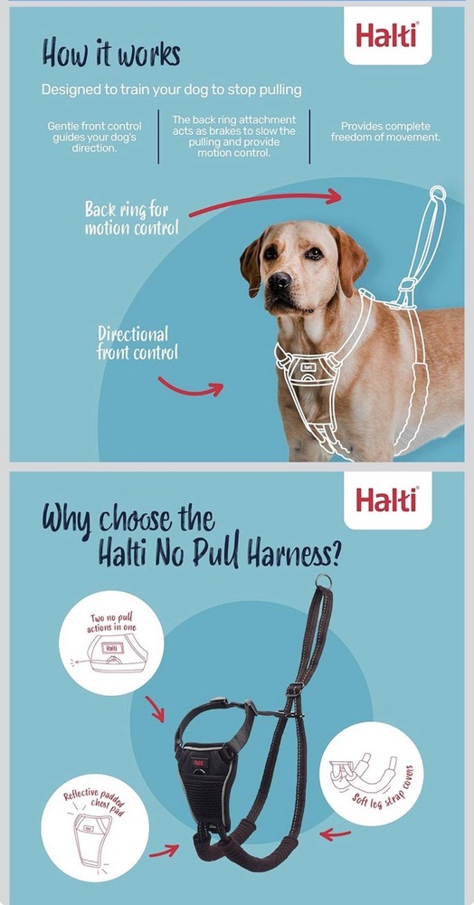 No Pull Harness Adjustable, Lightweight,Easy to Use. Reflective (M, Black)
