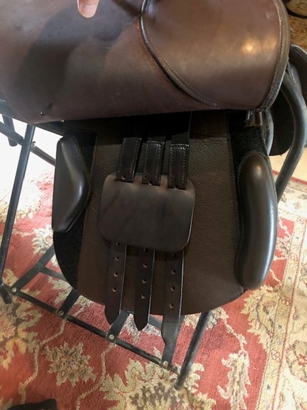 17.5" Treeless Ansur Hunter/Jumper Saddle