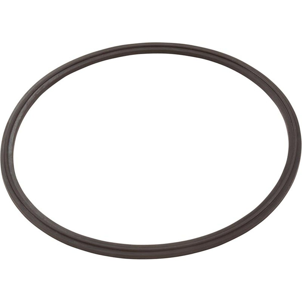 Leaf Catcher Seal, Zodiac Cyclonic Leaf Catcher