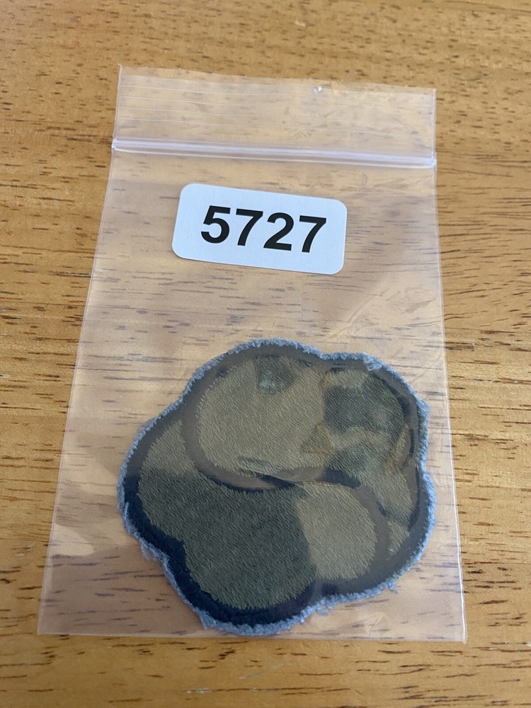 US Army 19th Support Brigade Subdued Patch INV5727