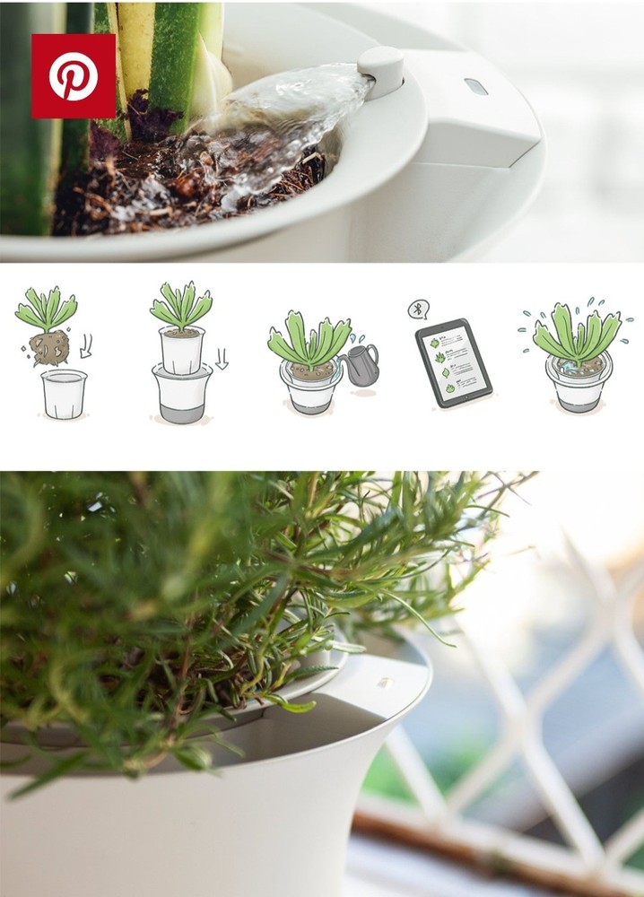 Wirelessly Autonomous Gardening Assistant