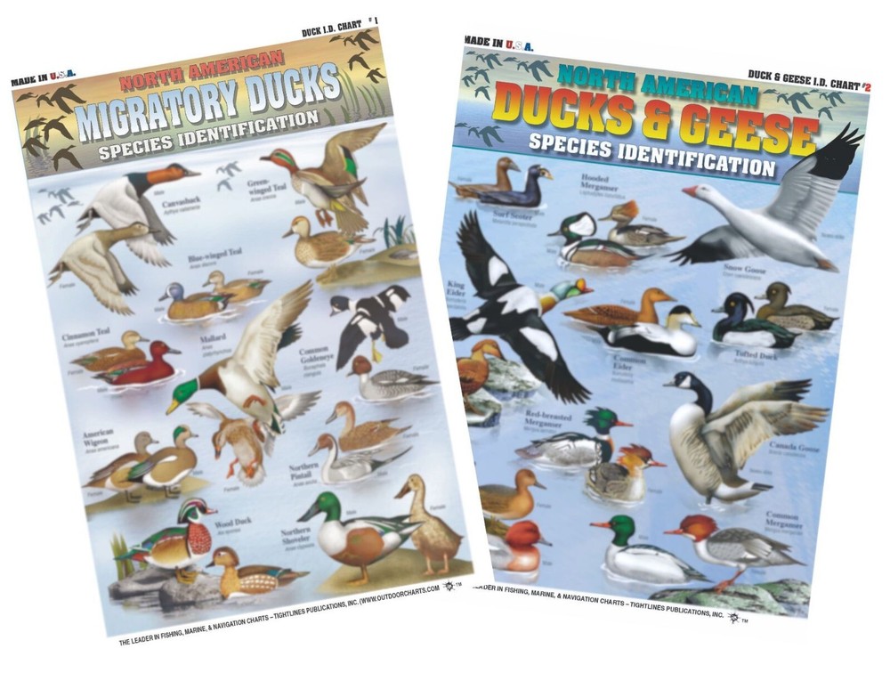 North American Duck & Geese Identification Set - Waterproof Quick Reference