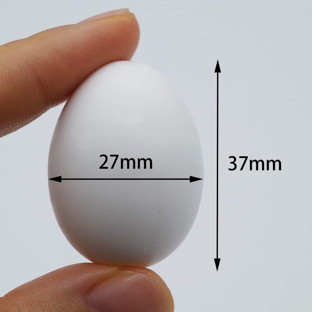 5 Pcs Solid Parrot Plastic Eggs Hatching Eggs Mini Macaw Cockatoo African Grey