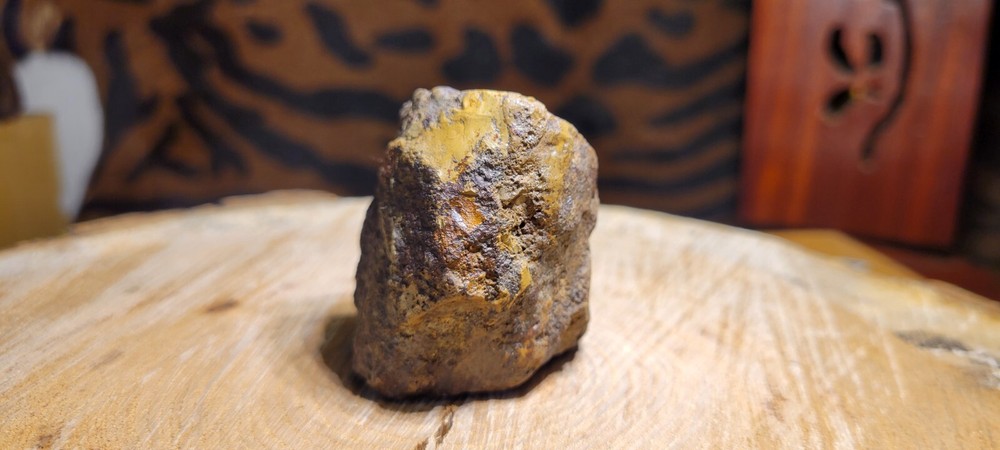Petrified Wood 90g MI