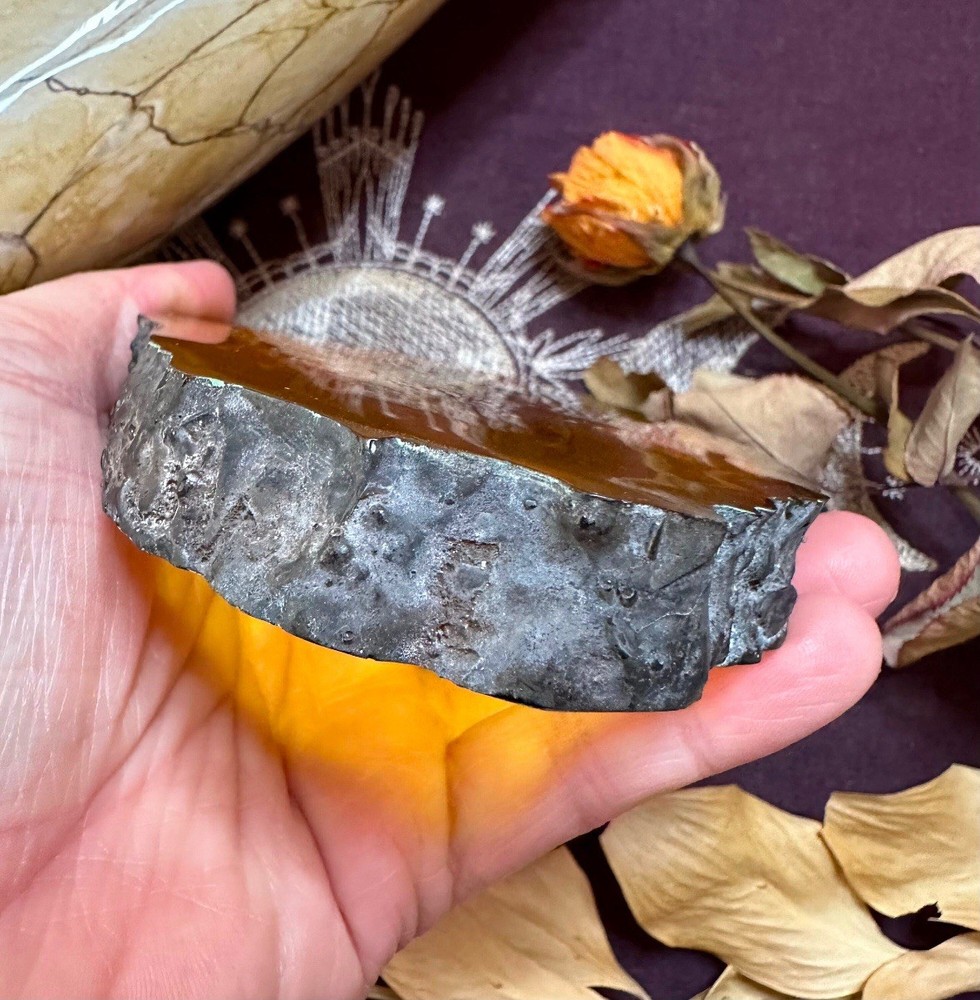 Real Cicada In Resin, Ethically Sourced, Witchcraft