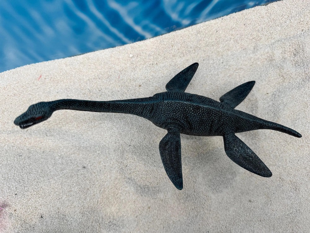 Plesiosaur