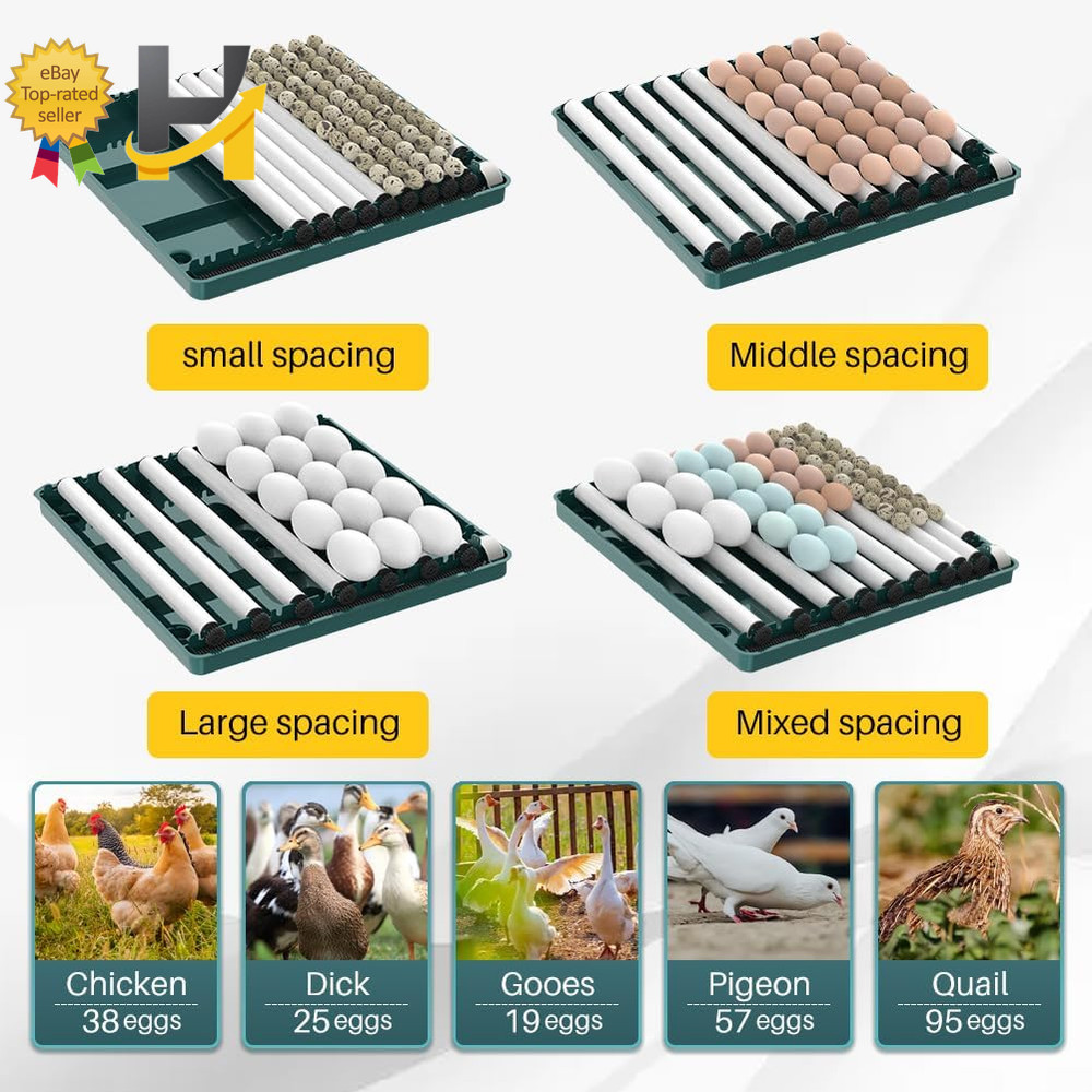 Automatic Egg Incubator 38 Egg Digital Poultry Hatcher Machine Automatic Egg Tur