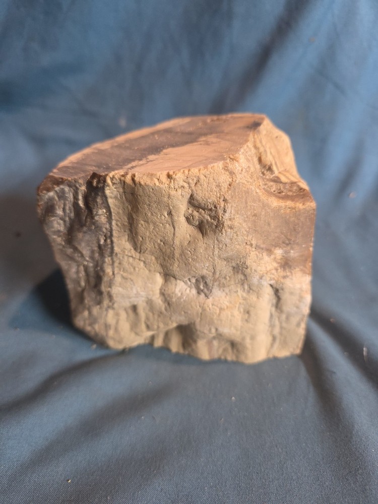 Petrified Wood Rough Approx 4x4 950 Grams