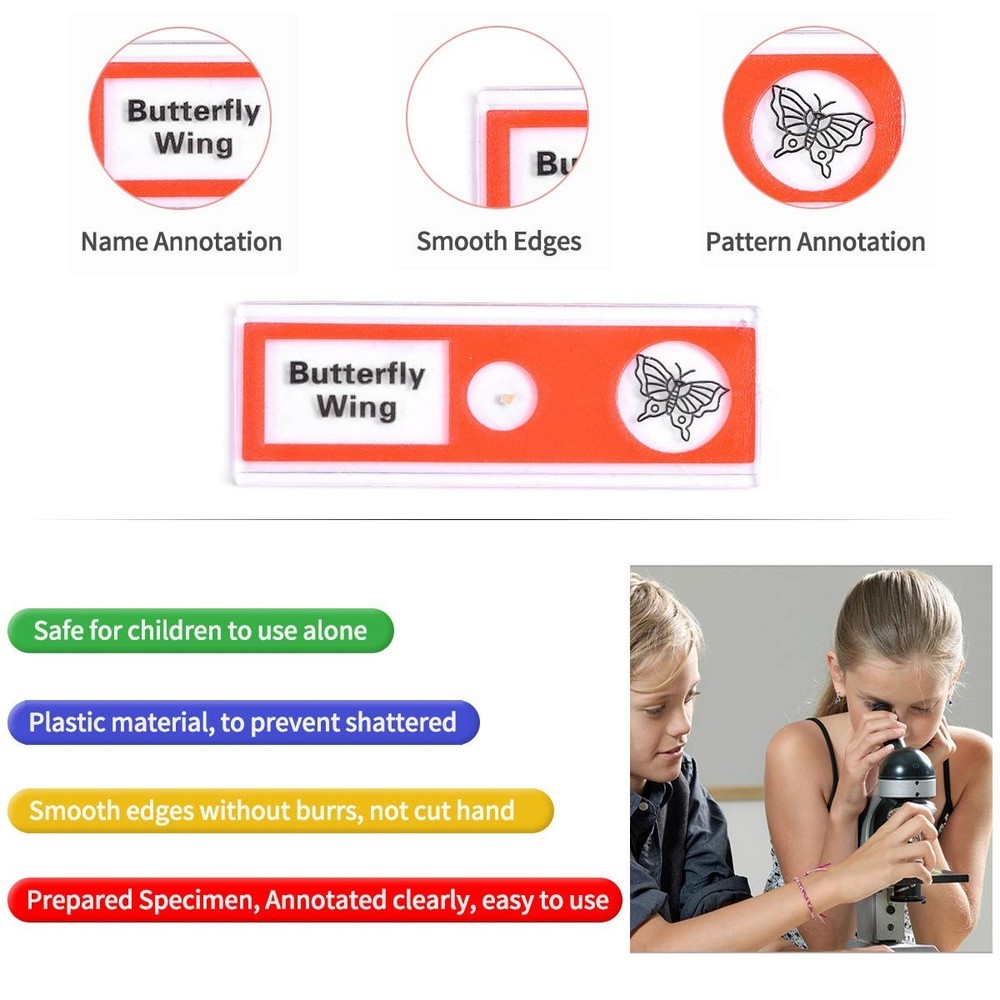 Explore Nature with 48pcs Prepared Plastic Microscope Slides for Children